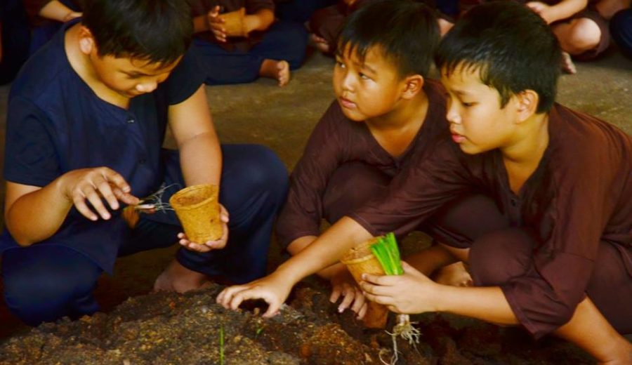 Người nông dân trẻ - Công Ty TNHH SX TM DV Du Lịch Nông Trại Hoa Lúa